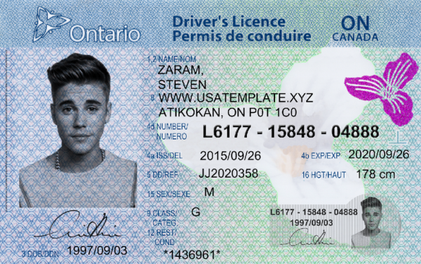 Buy Canadian Driver's License